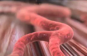 Arranca en Japón tratamientos con células reprogramadas: ¿Qué son y cómo funcionan en la salud?