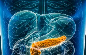 Científicos de Harvard construyen ‘cyborg’ pancreático que estimula la regeneración de tejido funcional en diabetes