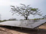 Colombia acelera la expansión de minigranjas solares: en apenas tres años el país pasó de tener 4 proyectos a contabilizar 151 a marzo de 2026