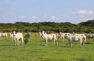 Lanzan guía para coordinar políticas y acciones frente a clima, sistemas alimentarios y biodiversidad en Colombia