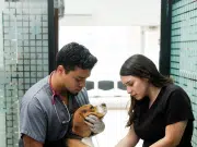 El síntoma en perros que muchos dueños ignoran y podría ser señal de una enfermedad mortal