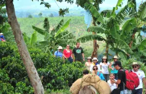 Quindío impulsó su turismo en Anato 2026 con la campaña “No me creas, vívelo”