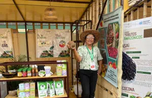 ICARRD+20/ El fruto del ‘Maní del Inca’: Sacha Energy de la selva colombiana al mercado de la empatía en Usaquén