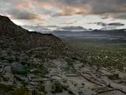Anato 2026 cerró en Bogotá con una proyección internacional para Puerto Rico, Guanajuato y Tucumán en el mercado colombiano