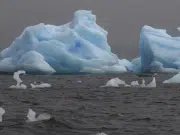 La Antártida perdió más de 12.800 kilómetros cuadrados de hielo en la línea de apoyo en tres décadas, según estudio: ‘El retroceso es impresionante’