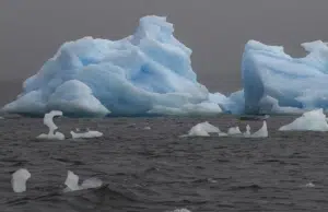 La Antártida perdió más de 12.800 kilómetros cuadrados de hielo en la línea de apoyo en tres décadas, según estudio: ‘El retroceso es impresionante’