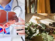 ¿Cómo impacta el consumo de café en el hígado graso y la fibrosis hepática? Las probabilidades de riesgo, según metaanálisis