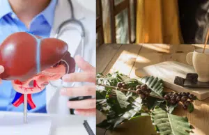 ¿Cómo impacta el consumo de café en el hígado graso y la fibrosis hepática? Las probabilidades de riesgo, según metaanálisis