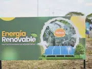 Alimento para mascotas producido con energía solar: así es la planta de Italcol en Palmira, una de las más sostenibles del país