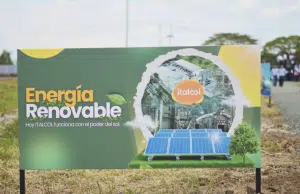 Alimento para mascotas producido con energía solar: así es la planta de Italcol en Palmira, una de las más sostenibles del país