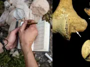 Hallazgo en Hungría sugiere que los roles de género eran flexibles hace 7.000 años