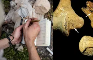 Hallazgo en Hungría sugiere que los roles de género eran flexibles hace 7.000 años