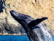 Los Cabos, la joya de México que combina desierto, mar y aventura