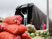 Banco de Alimentos de Bogotá entregó más de 22.000 toneladas de comida en 2025: director de la iniciativa explica las ambiciosas metas para este año