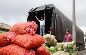 Banco de Alimentos de Bogotá entregó más de 22.000 toneladas de comida en 2025: director de la iniciativa explica las ambiciosas metas para este año