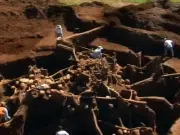 Encontraron un hormiguero que era una metrópolis subterránea: removieron 40 toneladas de tierra y tenía 50 metros cuadrados