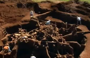 Encontraron un hormiguero que era una metrópolis subterránea: removieron 40 toneladas de tierra y tenía 50 metros cuadrados