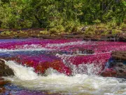 Satena reabre ruta aérea entre Bogotá y La Macarena para la temporada turística de Caño Cristales