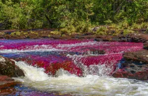 Satena reabre ruta aérea entre Bogotá y La Macarena para la temporada turística de Caño Cristales