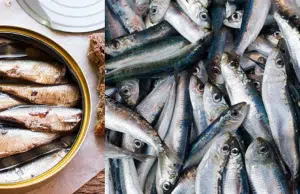 Expertos nutricionistas conciden: el mejor pescado, más nutritivo, cuesta poco y está al alcance en cualquier tienda