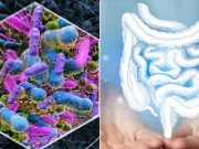 Científicos descubren que bacterias del intestino pueden anticipar problemas del corazón: hallan nueve moléculas en la sangre asociadas a infarto