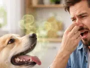 ¿Por qué el aliento de su perro huele a pescado y cuándo acudir al veterinario?