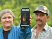 Compostómetro, la ‘app’ que ayuda a campesinos a optimizar sus abonos