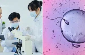 Donante de esperma transmite enfermedad rara a múltiples descendientes: documentan primer caso global de angioedema hereditario
