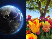 Equinoccio de primavera en 2026: ¿por qué el día y la noche durarán casi lo mismo? Conozca los efectos del fenómeno