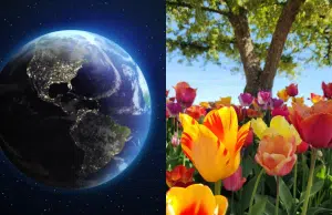 Equinoccio de primavera en 2026: ¿por qué el día y la noche durarán casi lo mismo? Conozca los efectos del fenómeno