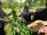 El 90 % del suelo mundial podría degradarse en 2050: en Colombia varios proyectos piloto prueban que recuperarlo también puede ser rentable