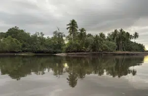 Coquí, el destino del Pacífico colombiano que apuesta por el turismo comunitario y los saberes ancestrales