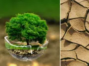 ¿Qué desafíos enfrenta la medición y verificación de reducciones de CO₂? Esto explica profesor universitario