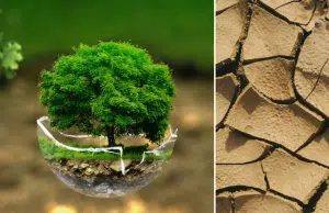 ¿Qué desafíos enfrenta la medición y verificación de reducciones de CO₂? Esto explica profesor universitario