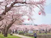 Hokkaido, un destino en Japón para amantes de la naturaleza