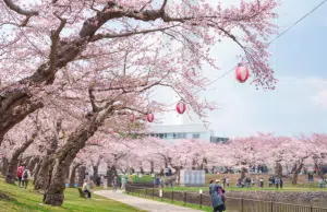 Hokkaido, un destino en Japón para amantes de la naturaleza