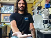 Descubren nueva especie de erizo de mar en las profundidades del Atlántico Sur
