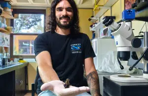 Descubren nueva especie de erizo de mar en las profundidades del Atlántico Sur