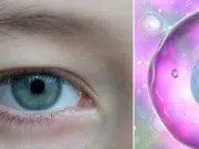 Desarrollan gotas oculares con líquido seminal de cerdo para tratar cáncer ocular infantil sin cirugía: estudio chino logra frenar tumores en animales