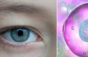 Desarrollan gotas oculares con líquido seminal de cerdo para tratar cáncer ocular infantil sin cirugía: estudio chino logra frenar tumores en animales