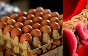 ¿El huevo aumenta el colesterol en la sangre? Esto dice la ciencia