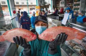 Estos son los pescados que cuidan el corazón en Semana Santa, según la Liga Colombiana Contra el Infarto y la Hipertensión Arterial