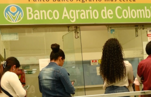 77 mil damnificados podrán reclamar $500 mil: Ungrd