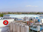 Adiós a reconocida marca de leche en Colombia: cierra tras 14 años