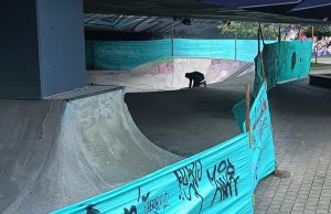 Remozan el skate bowl de la 4 Sur