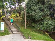 La riqueza del Cerro Nutibara, uno de los siete cerros tutelares de Medellín