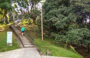 La riqueza del Cerro Nutibara, uno de los siete cerros tutelares de Medellín