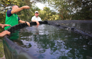 Con tanques australianos protegen las fuentes hídricas