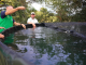 Con tanques australianos protegen las fuentes hídricas