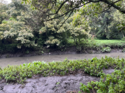 Crisis en humedales de Bogotá: sequía, basura y delitos en aumento